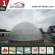 Geodesic Dome Greenhouse Tent with Clear Top
